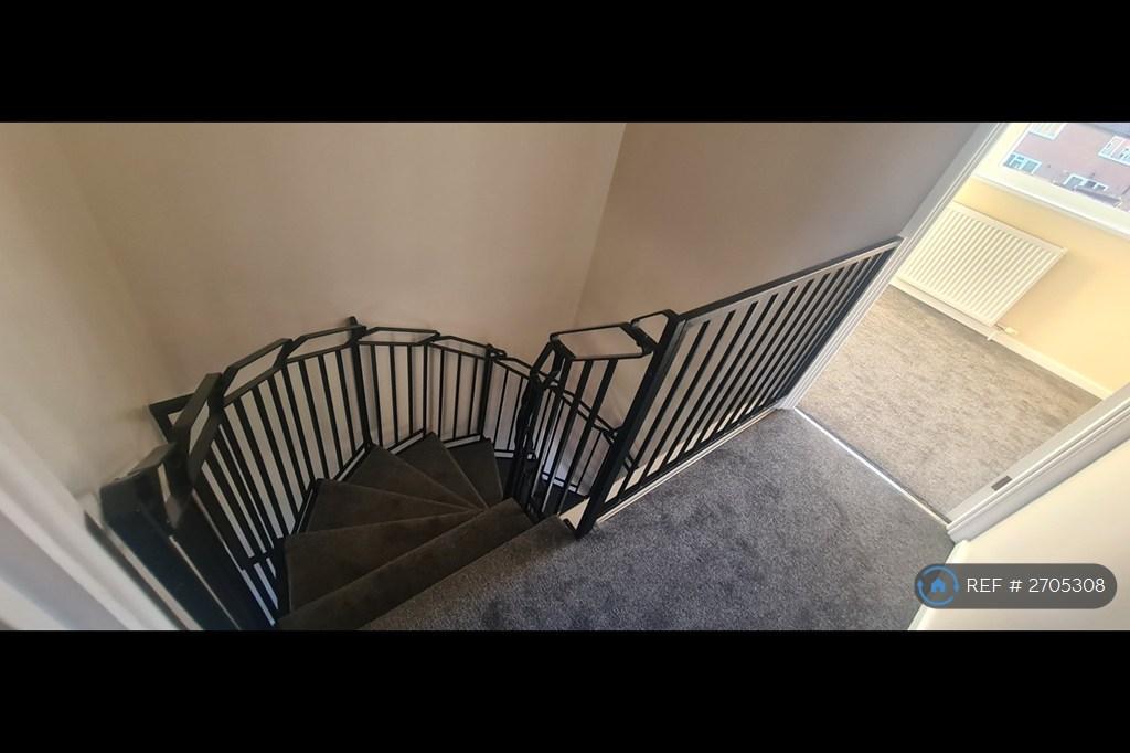 Spiral Staircase