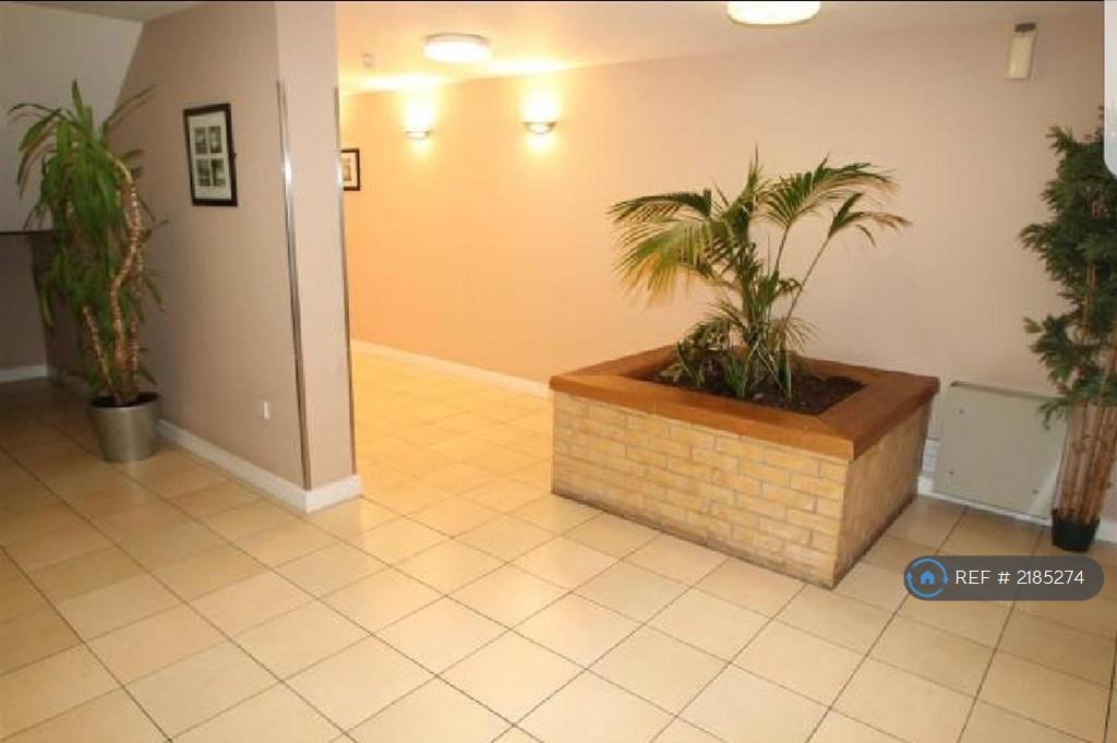 Communal Area