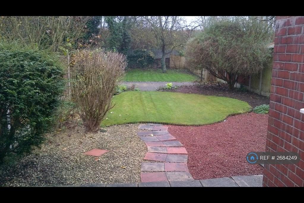 Back Garden