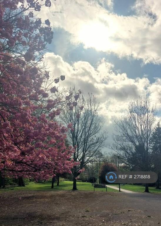 Surrounding Areas - Wombwell Park