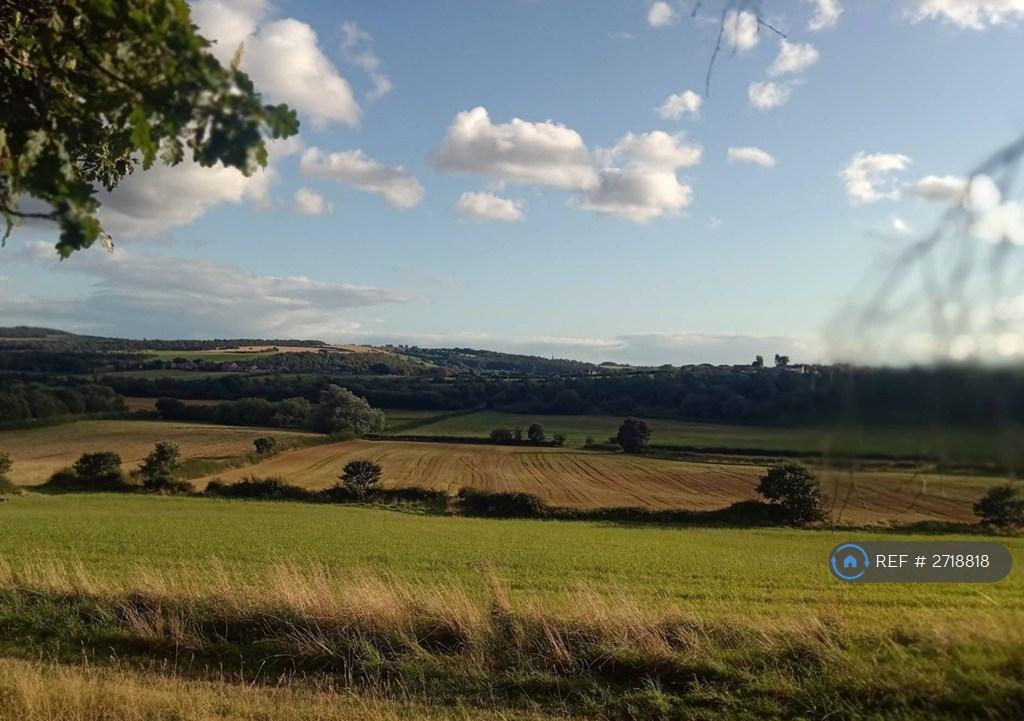 Surrounding Areas - Wombwell Park
