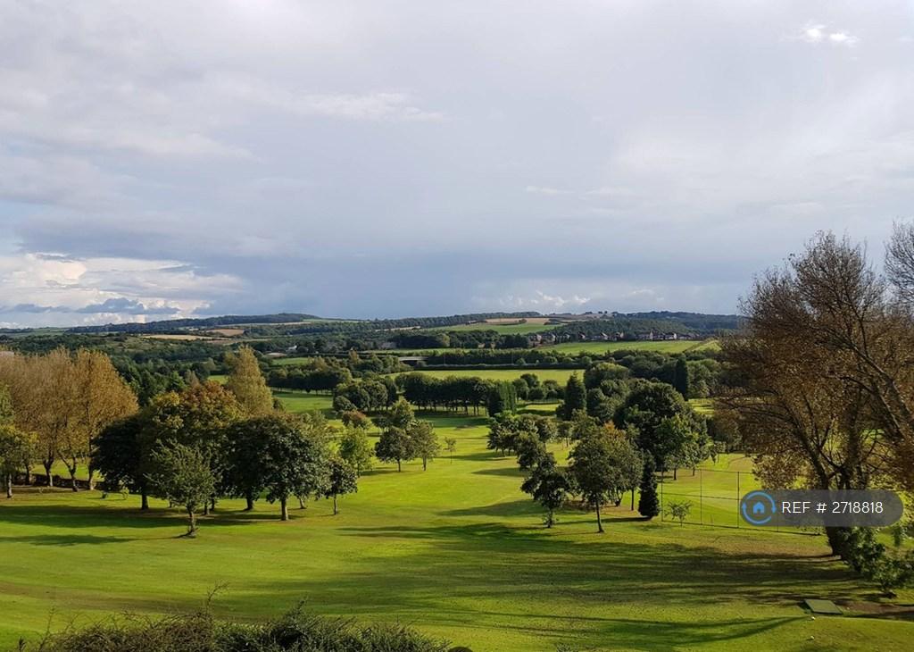 Surrounding Areas - Wombwell Park