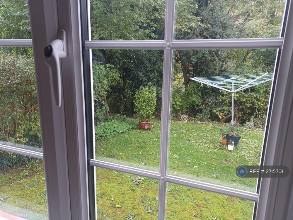 Garden From Sitting Room