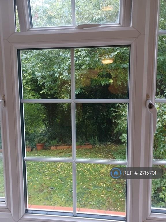 Garden From Bedroom