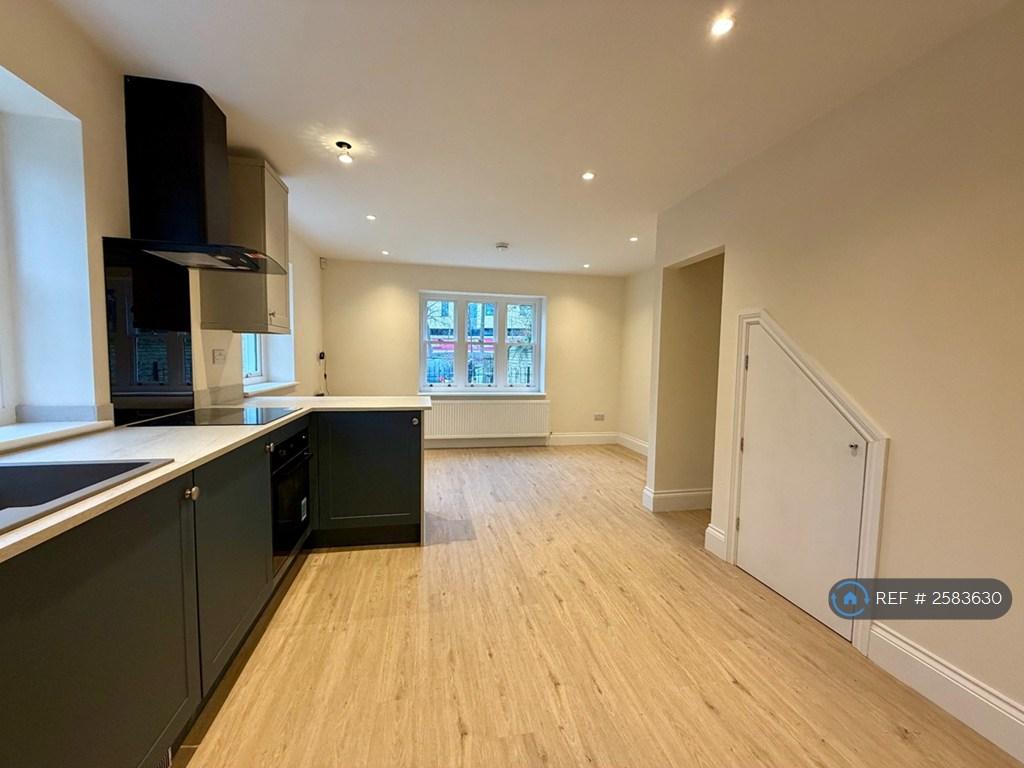 Kitchen / Living Space