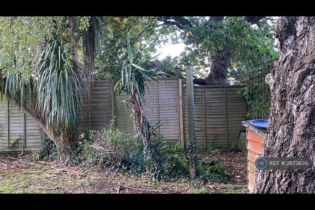 Back Of The Garden
