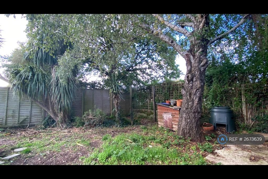Back Of The Garden