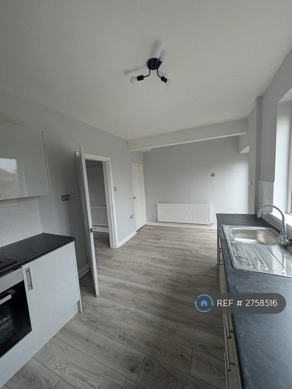 New Modern Eat-In Kitchen