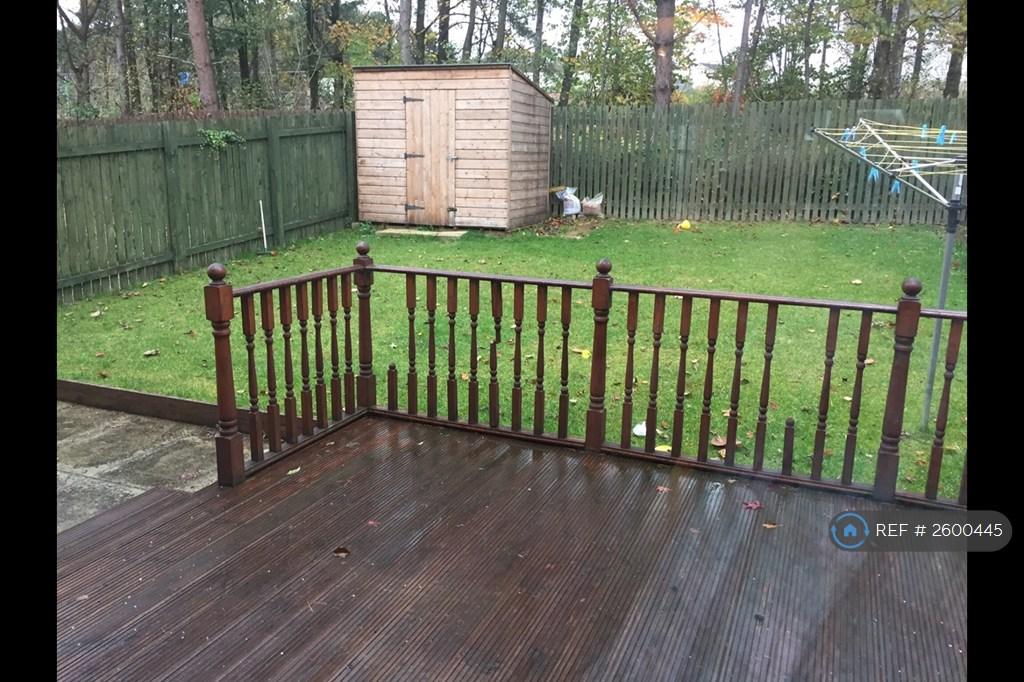 Back Garden - 1