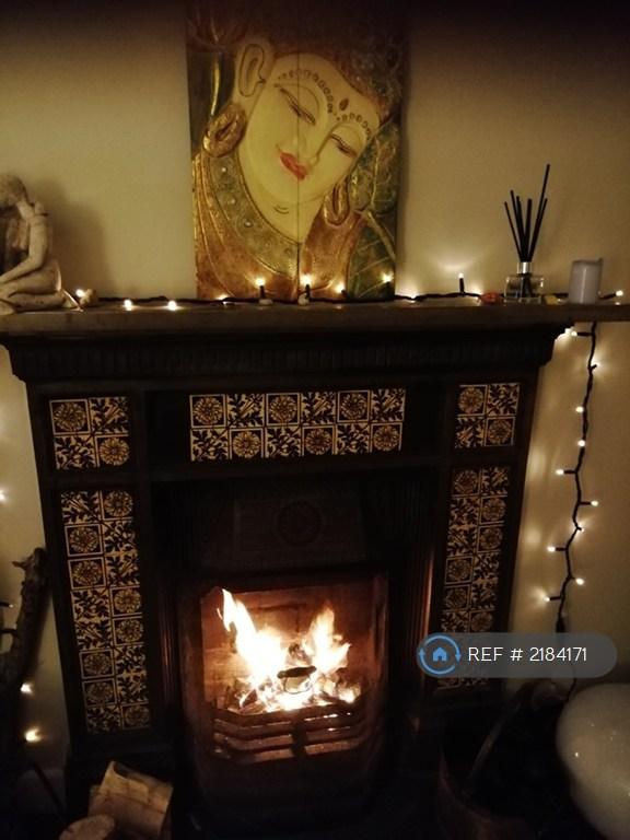 Lovely Cosy Lounge With Open Fire Place
