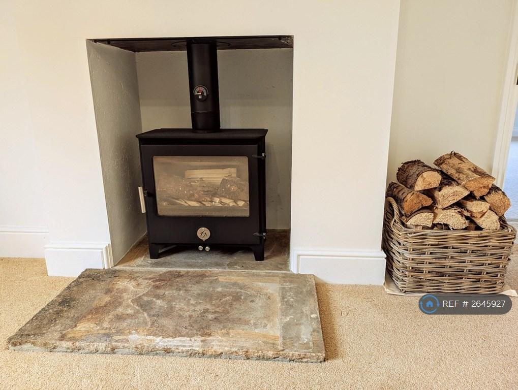 First Lounge Wood Burning Stove