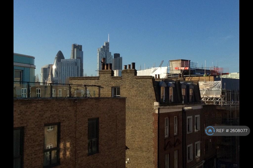 City Views From South Bedroom