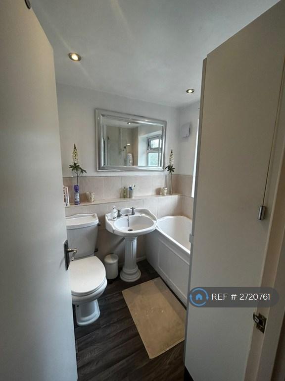 Toilet & Bathroom