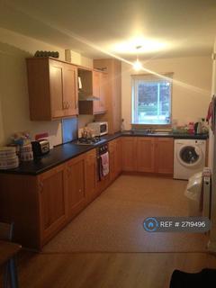 3 bedroom semi-detached house to rent, Riseholme Road, Lincoln, LN1