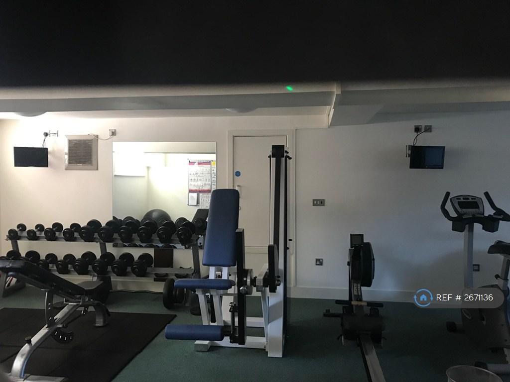 Gym 2