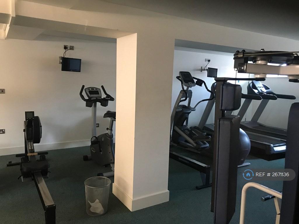 Gym 1