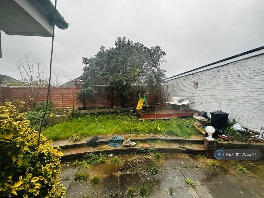 Back Garden