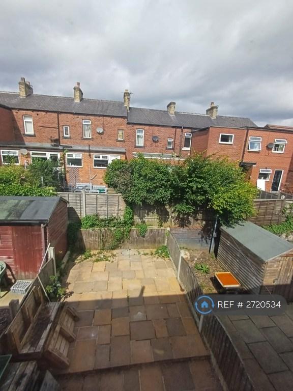 Back Garden