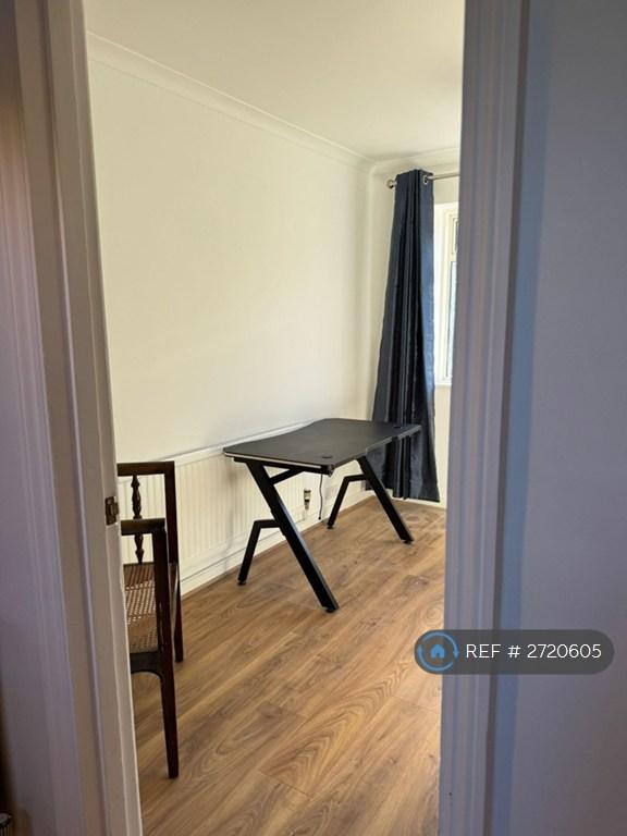 Study