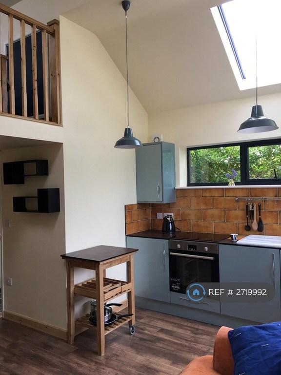 Fridge, Washing Machine, Oven, Hob