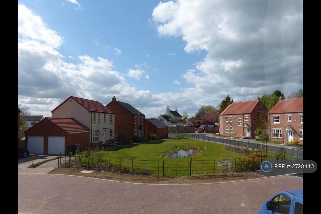 View From Front Window