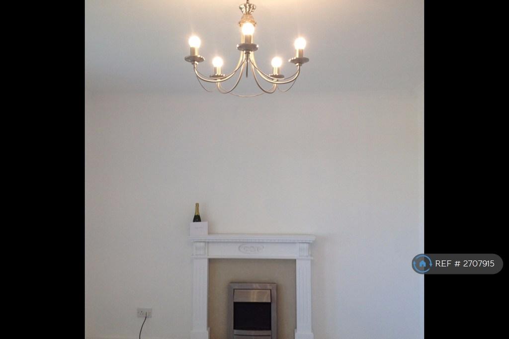 Feature Fireplace