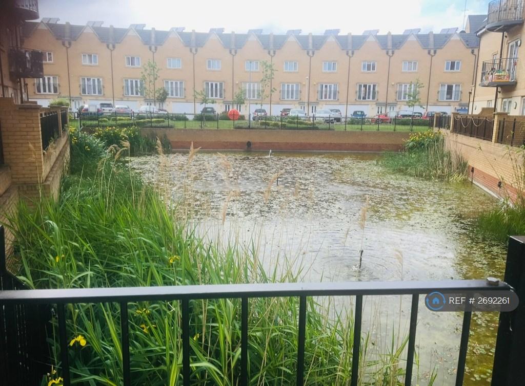 Little Pond In The Varcoe Gardens Complex