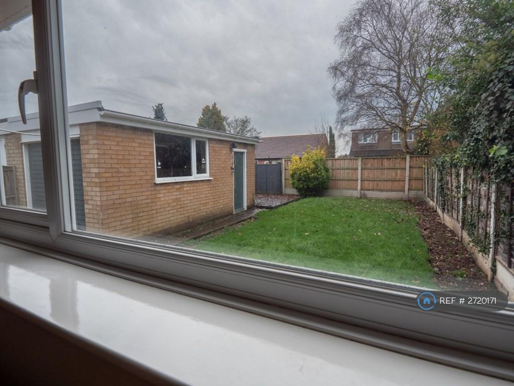 Backgarden
