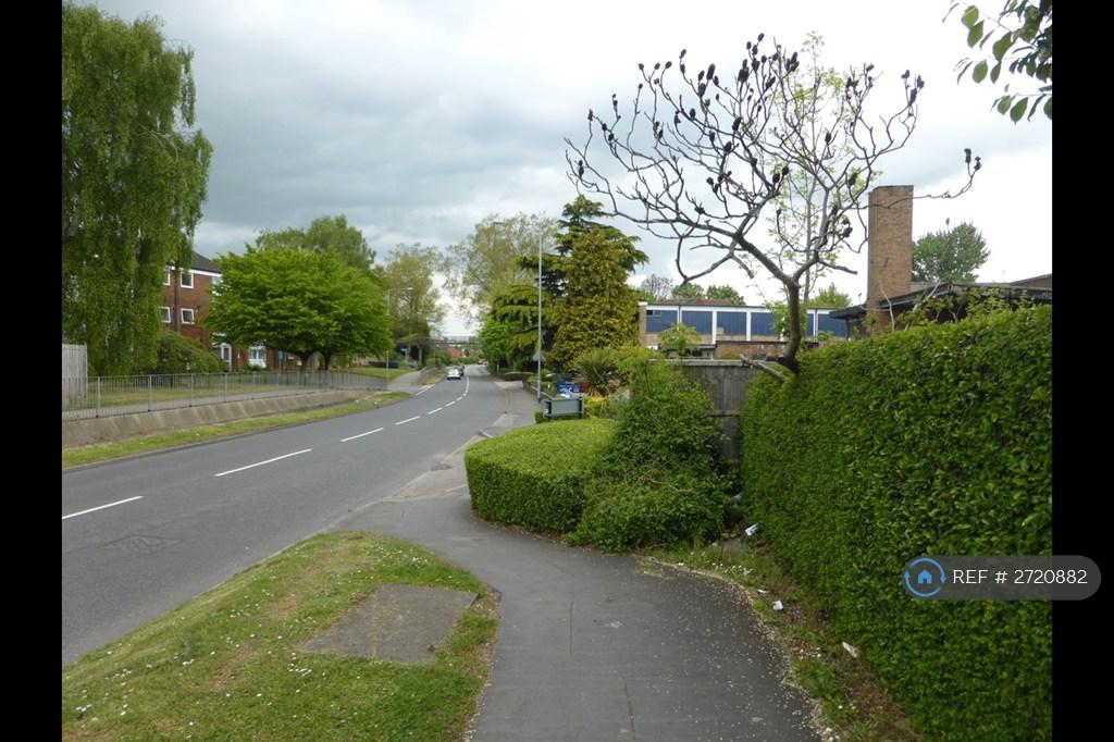 Street View (Photo 1)