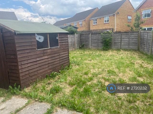 Back Garden