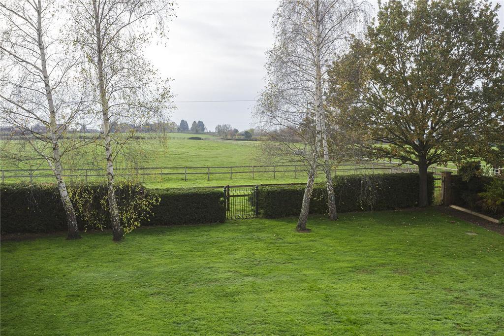 Garden & View