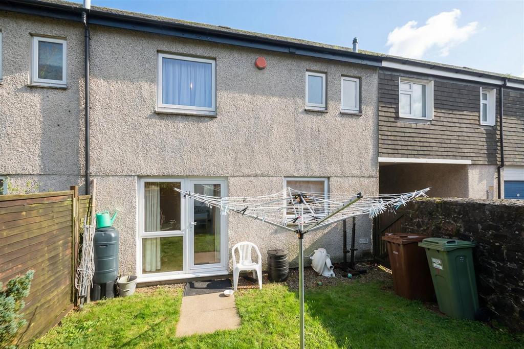 Back garden