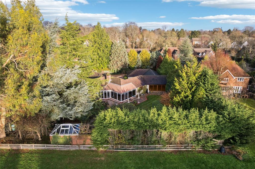 Elevated View