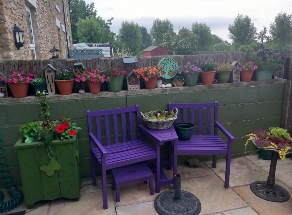 Courtyard Garden