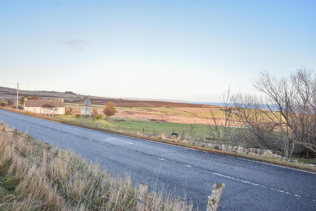 ROAD-2.jpg
