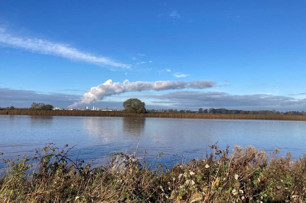 River View.jpg
