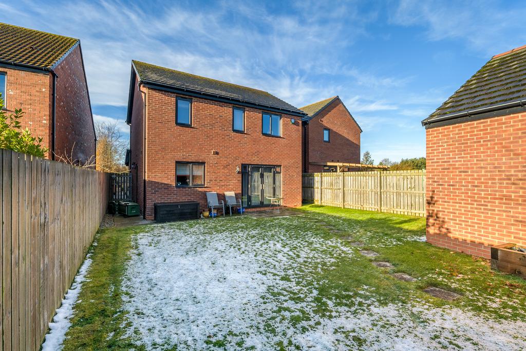 Rear-2
