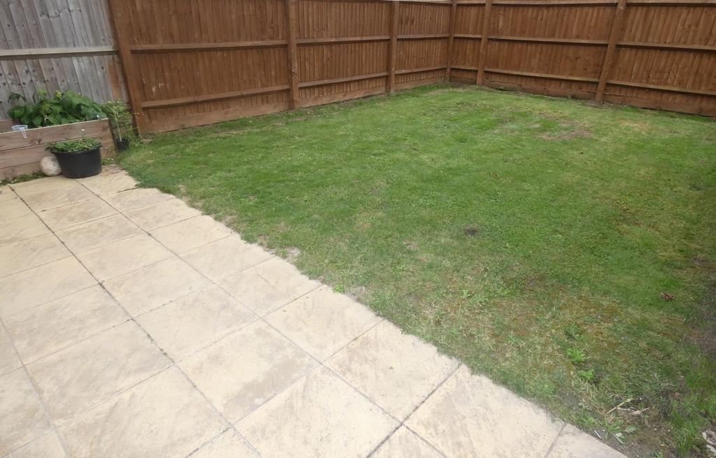 Picture 10