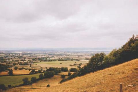 undefined, COMING SOON - THE BUTTERCUPS, Dursley GL11
