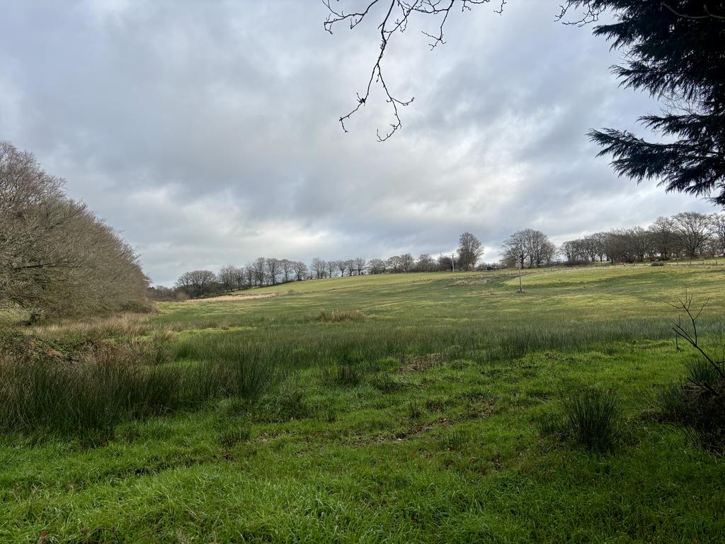 Land (second image)