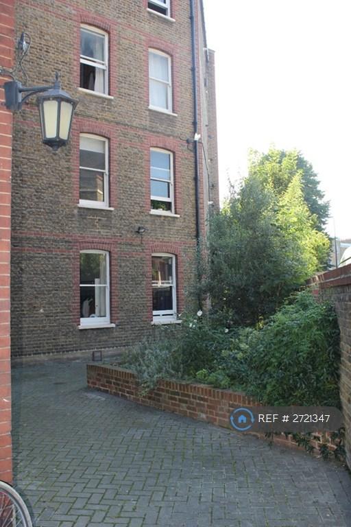 Back Garden