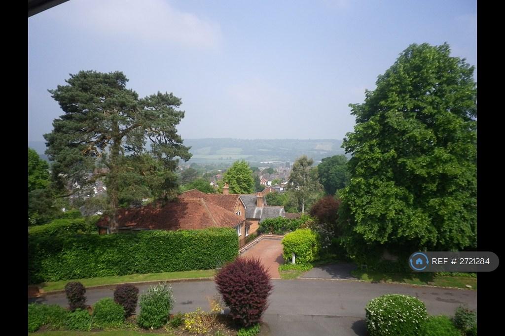 View Towards Ranmore