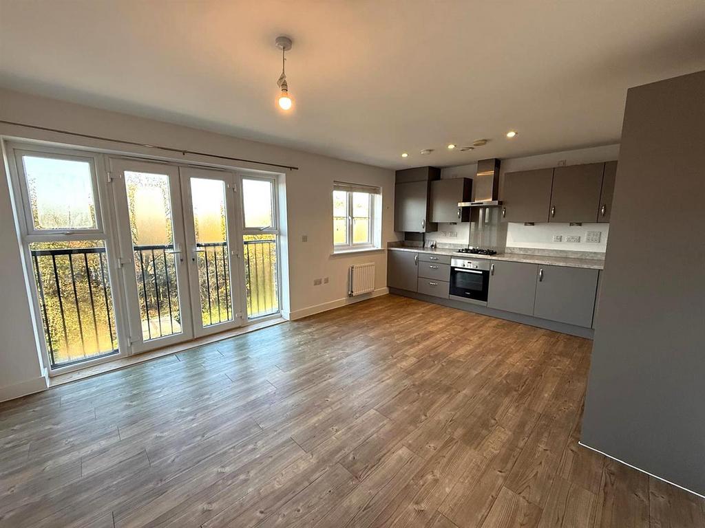 Kitchen / Living Area
