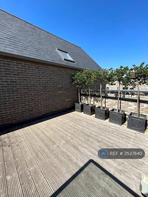 Terrace Garden