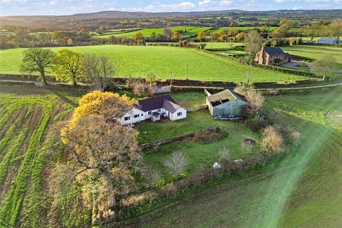 undefined, Leeswood, Mold, Flintshire