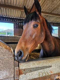 undefined, Malvern Road, Storridge, Malvern WR13