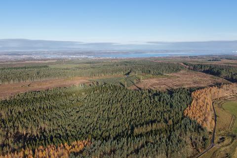 undefined, Inverernie Forest, Near Daviot, Inverness-shire IV2