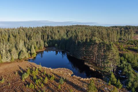 undefined, Inverernie Forest, Near Daviot, Inverness-shire IV2