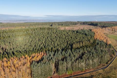 undefined, Inverernie Forest, Near Daviot, Inverness-shire IV2