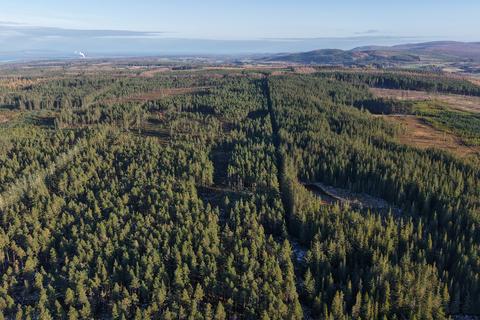 undefined, Inverernie Forest, Near Daviot, Inverness-shire IV2